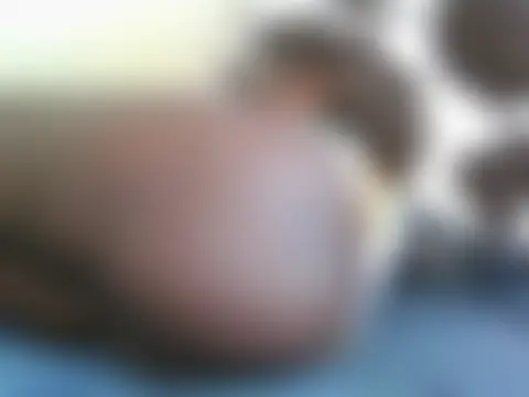 Pokój czatu na żywo – bransah