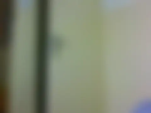 Sala de chat ao vivo de bransah