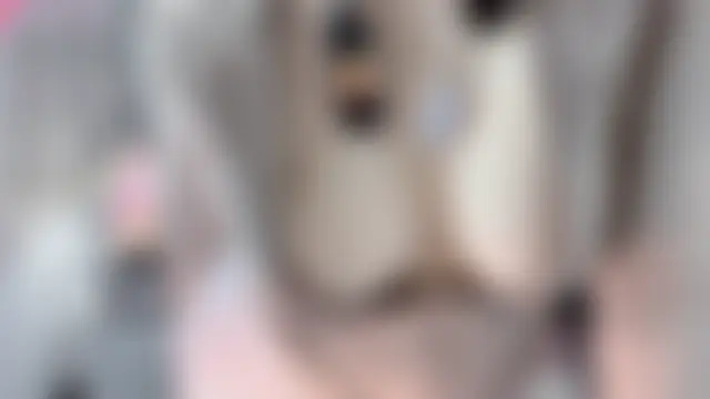 i4Fog élő chatszobája