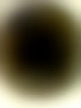 sexy_anty66 现场聊天室