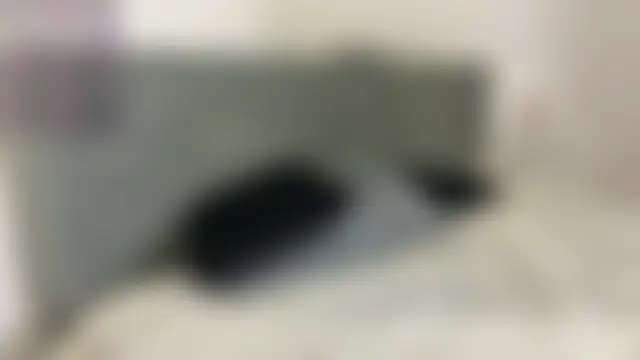 meowchaa's Live Chat Room