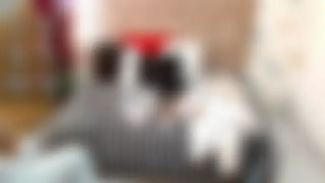 Bilik Sembang Langsung Luna-Foxx