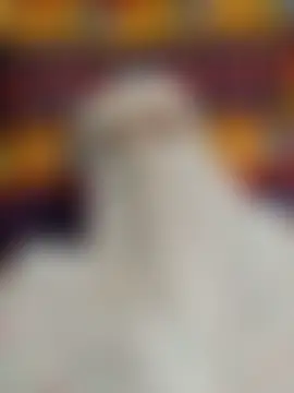 sapan_sexe Live Chatrum