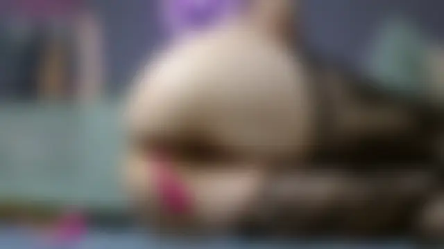 Bea_doll Live Chatraum