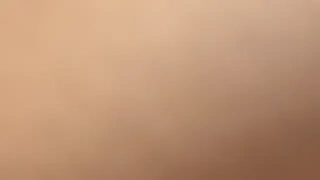 BirgitCelestino 现场聊天室