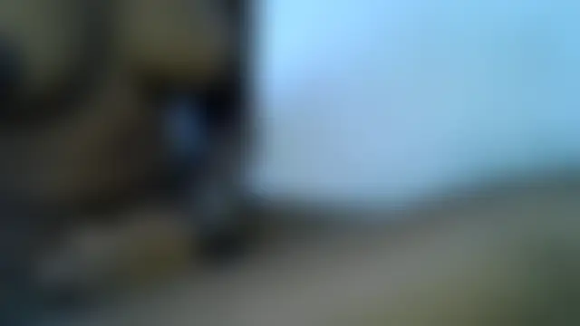 Sala de chat en directo de Irendz