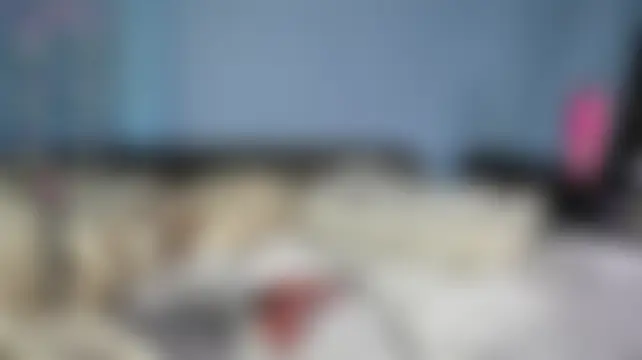 Онлайн чат XXX Softy_Luna