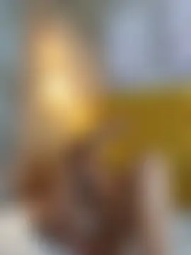 Chat ao vivo de Misevie