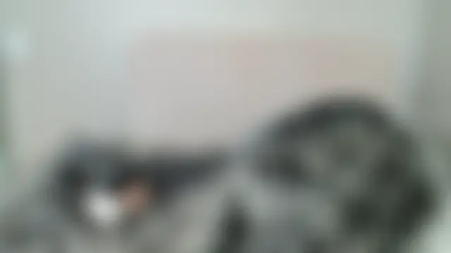 Živá chatovací místnost BUSTYQUEEN56_