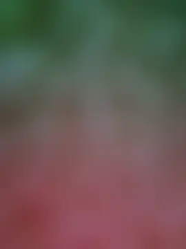 Zoe_aylor Cameră chat live