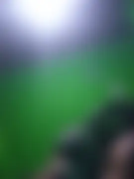 Zoe_aylor 실시간 채팅방