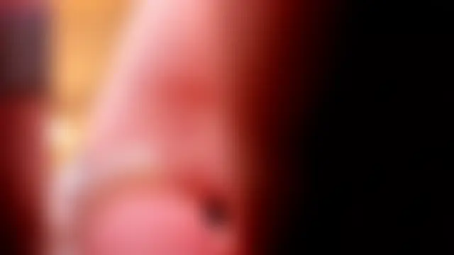 Show de sexo ao vivo de Sophia_cutegirly