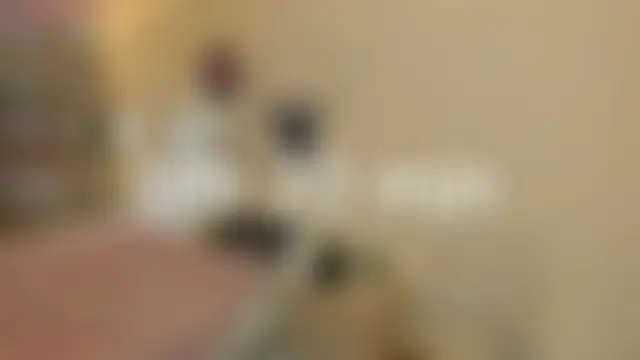 ห้องแชทสดของ DailaLaleja