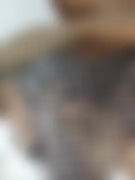 nohaylanono Show in webcam