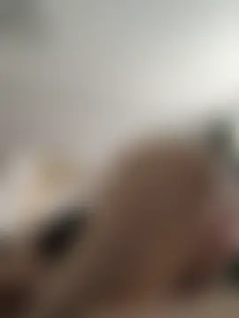 BOOMFOXY's Live Chat Room