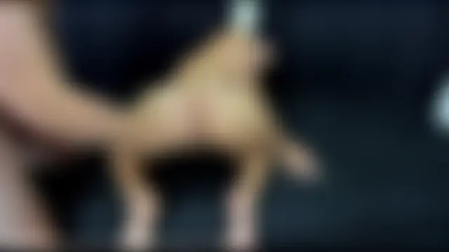 Pertunjukan Kamera Web Match_Hot