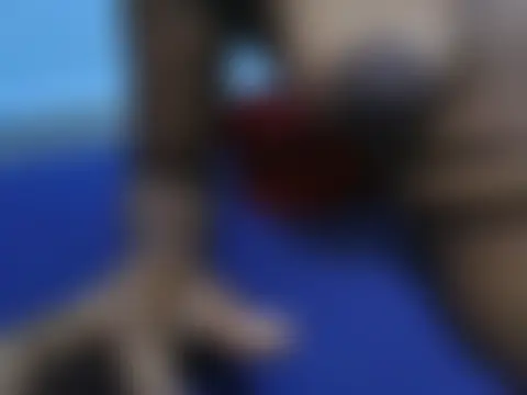 Naughty-doll's Live Chat Room
