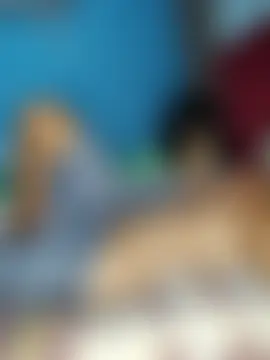 Gavii2026's Webcam Show