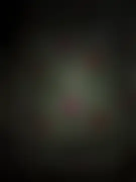 skasiffffn Webbikameraesitys