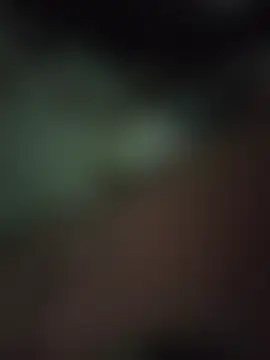 chanelsexx чат на живо