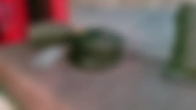 Živá chatovací místnost Kira_Vex