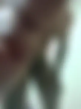 חדר צ'אט בשידור חי של freakinsexy