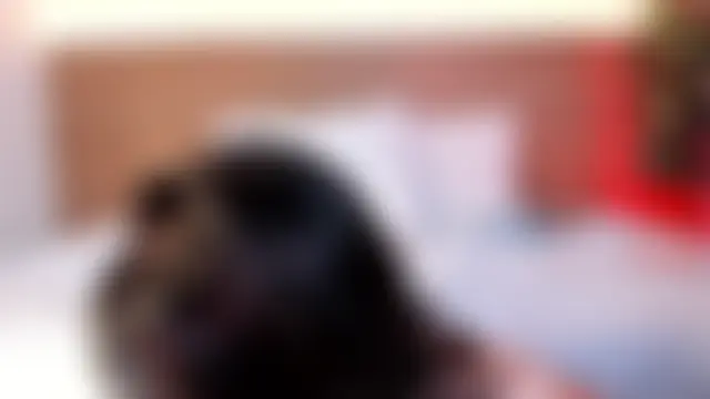 thamiina__'s Webcam Show