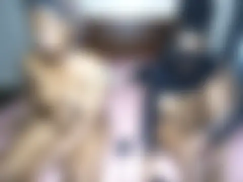 Sala de chat ao vivo de Petite_finee