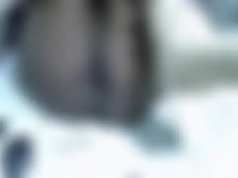 Sala de chat ao vivo de Prettybootty