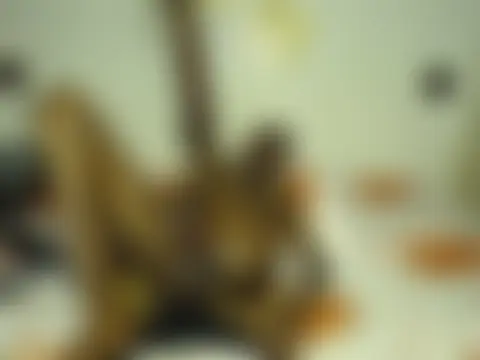 KlaraCandy's Live Webcam Chat