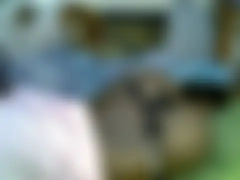 tamara_shaniz 即時聊天室