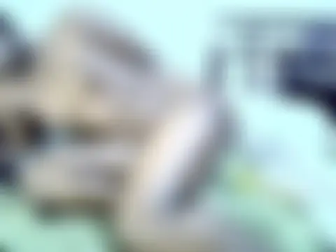 חדר צ'אט בשידור חי של tamara_shaniz