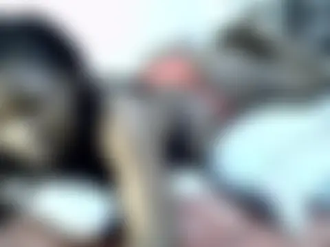 tamara_shaniz чат на живо