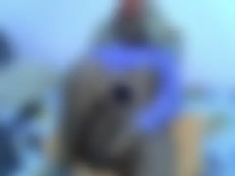 playfullnova Cameră chat live