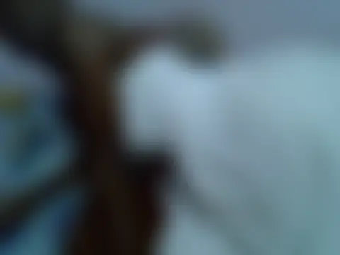 playfullnova élő chatszobája