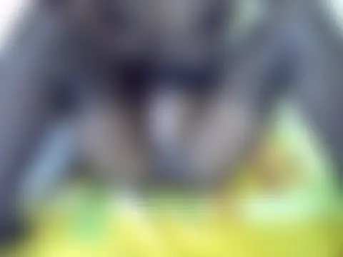 sexy_sha254 élő chatszobája
