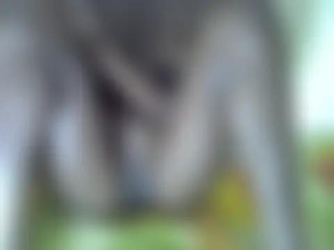 دردشة sexy_sha254 الجنسية المباشرة