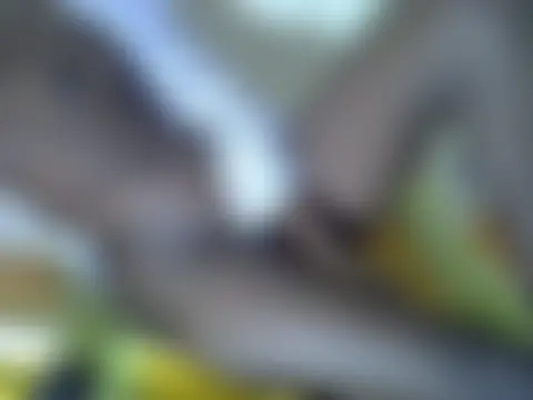 sexy_sha254's Live Webcam Chat
