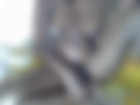 sexy_sha254 live XXX chat
