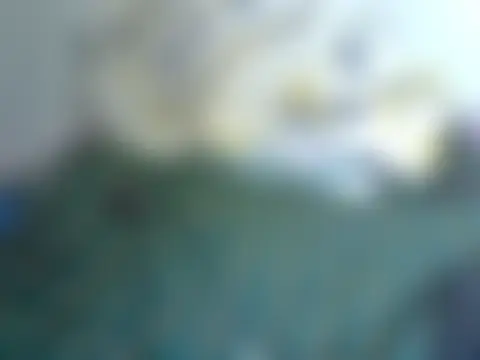Ebonysweetlyne – Naživo chatovacia miestnosť