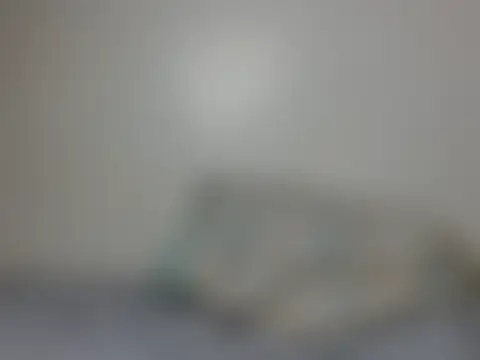 lue_bianca 실시간 채팅방