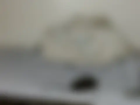 lue_bianca লাইভ চ্যাট রুম