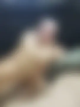Show webcam de kauliaris28
