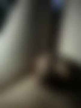 Devot24n Webbikameraesitys