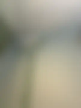 EffyElven 现场聊天室
