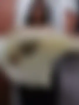 Amber_Herrera Live Chatraum