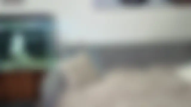 Mia_E1fie02's Live Chat Room