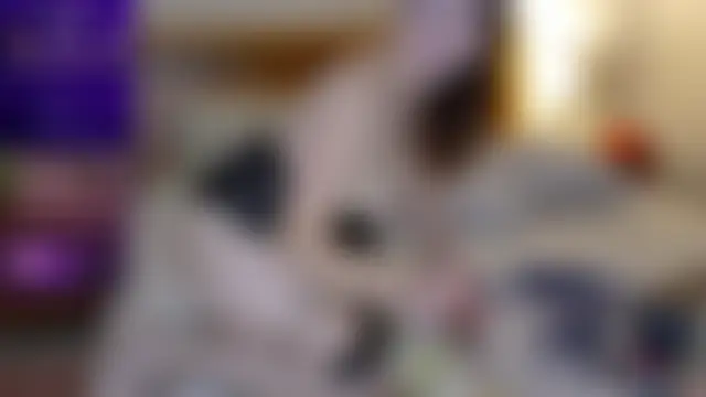 mascaraxxxx's Webcam Show