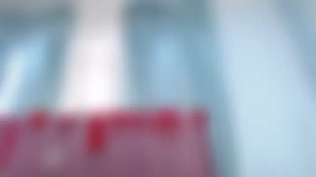 Sallydickinson 실시간 채팅방