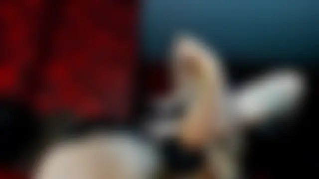 Miss_KathyFox Live Chatraum